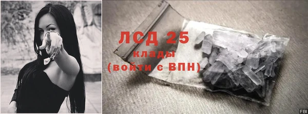 mix Инта