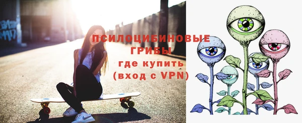mix Инта
