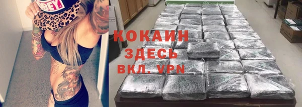 mix Инта