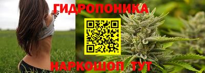 таблы Гатчина