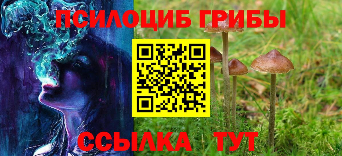 Псилоцибиновые грибы ЛСД Краснодар