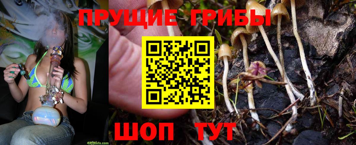 Псилоцибиновые грибы Cubensis  Псилоцибиновые грибы Psilocybine cubensis  Краснодар  Вход с VPN 