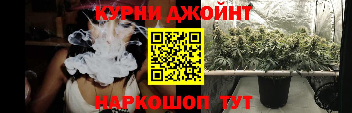 Каннабис SATIVA & INDICA  Краснодар  Конопля семена  Канабис AK-47 